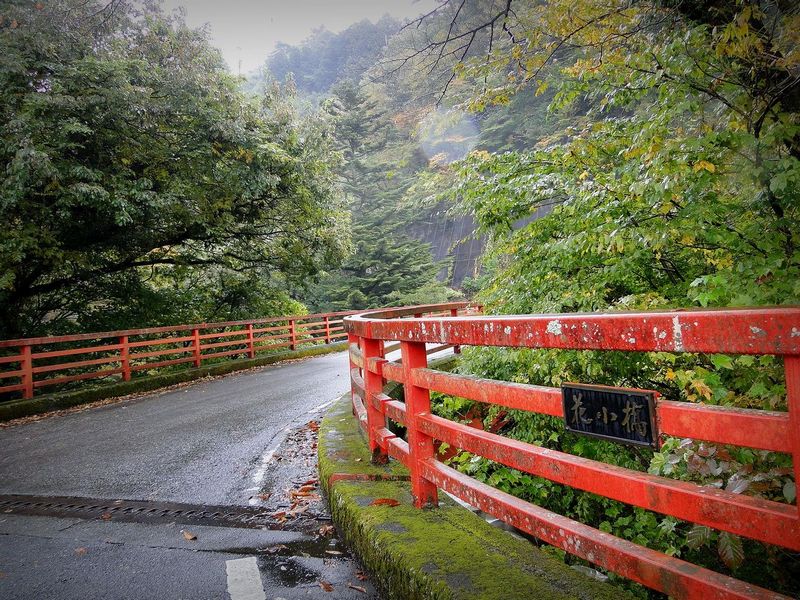 『渓谷のzigzag』 ～みどり市の小中川～_d0231029_7431785.jpg