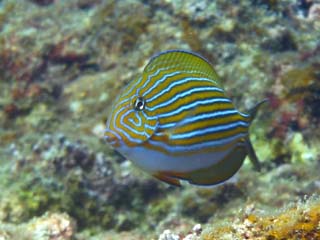 2012年11月3日(土・晴れ)甲浦_d0164831_16135156.jpg