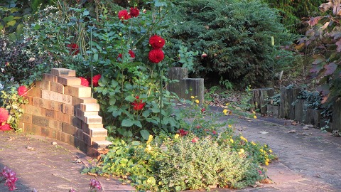 e0202031_2310396.jpg