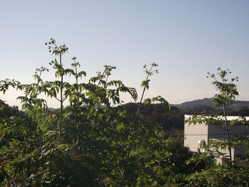 b0137932_20573699.jpg