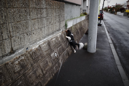 またまた、雨・・・_c0051132_20111580.jpg