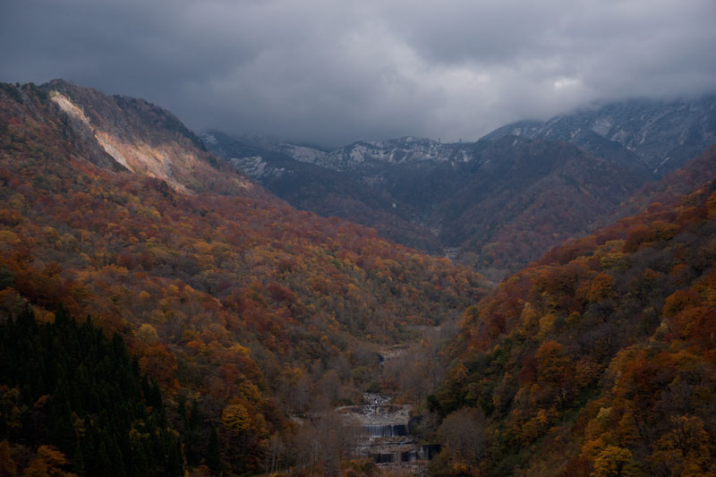 b0177233_56479.jpg