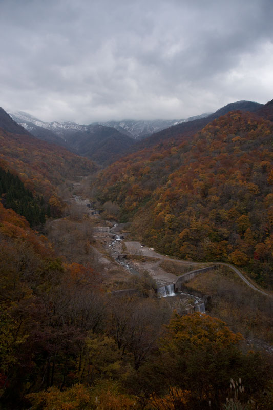 b0177233_58927.jpg