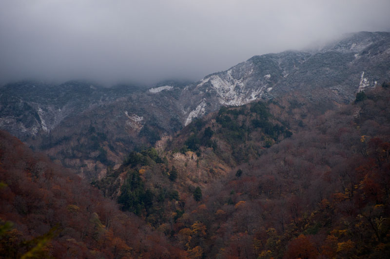 b0177233_591074.jpg