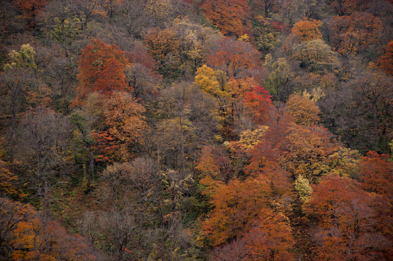 b0177233_593572.jpg