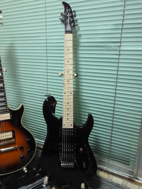 Chattingbird By Caparison Cde Hh あくまでもメインはエボ のつもり Chattingbird By Caparison Cde Hh あくまでもメインはエボ のつもり