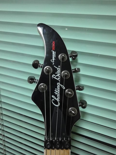 Chattingbird By Caparison Cde Hh あくまでもメインはエボ のつもり Chattingbird By Caparison Cde Hh あくまでもメインはエボ のつもり