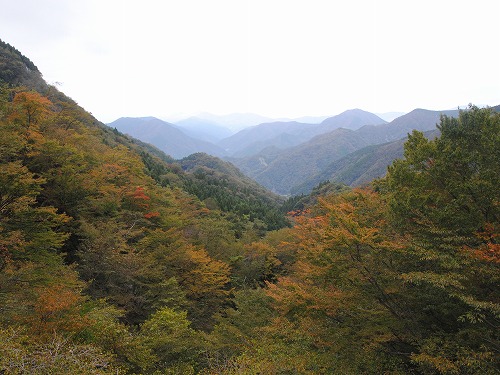 a0048040_2254396.jpg