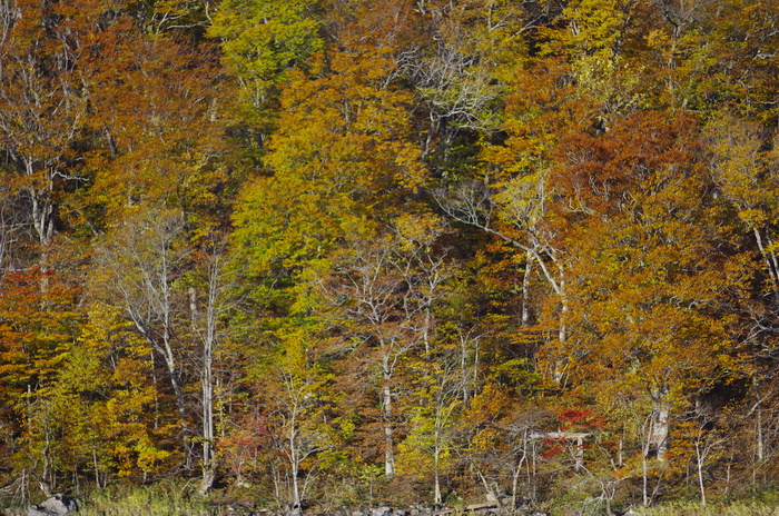 d0237340_19232912.jpg