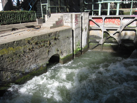 a0279743_1704371.jpg