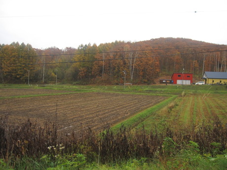 a0279743_22271261.jpg