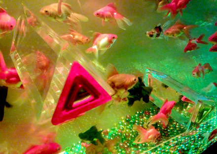 並み居る後頭部の隙間から千匹の金魚を眺めてきました_c0060143_14524037.jpg