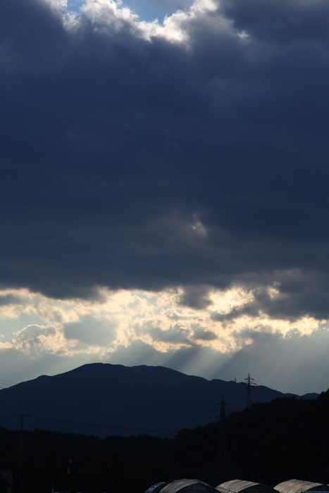 c0035245_23591815.jpg