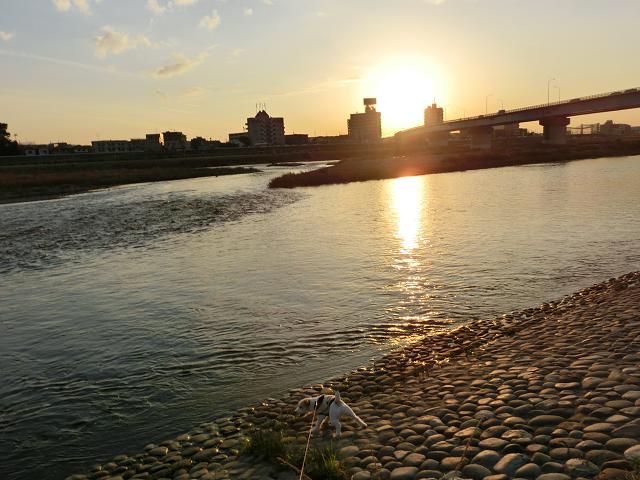 c0156345_8553218.jpg