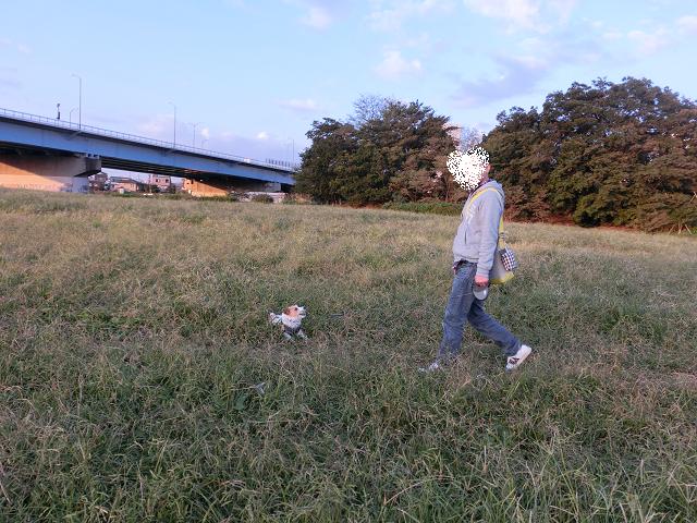c0156345_8554384.jpg
