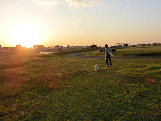 c0156345_856014.jpg