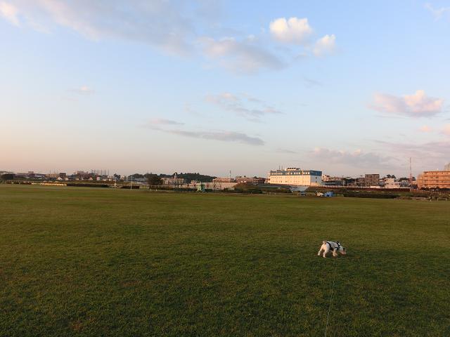 c0156345_8562328.jpg