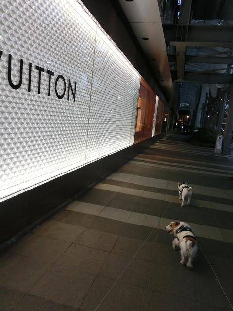 c0156345_857182.jpg
