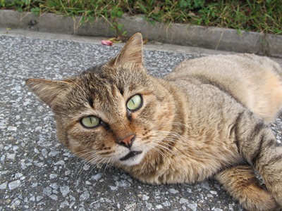 11月 03日 ポテト日和_b0158746_1651561.jpg