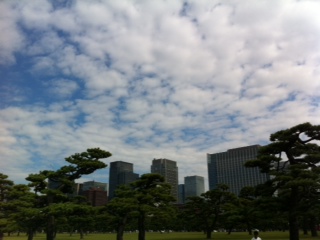 f0071647_1344523.jpg