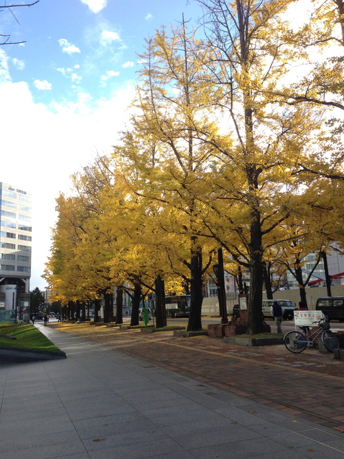 今日の昼飯 2012.11.3_a0030748_21132649.jpg