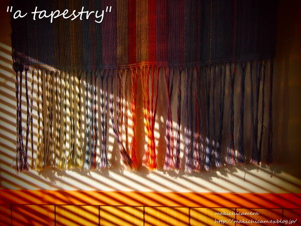 \"a tapestry\"_a0206748_20254697.jpg