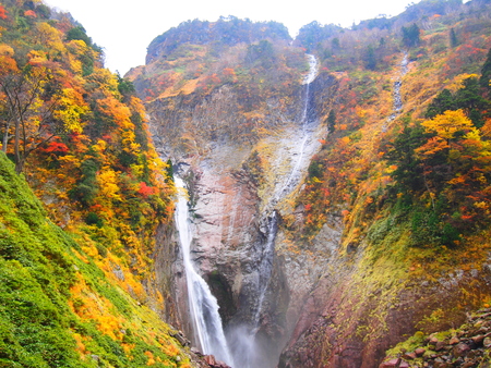 c0095253_1339334.jpg
