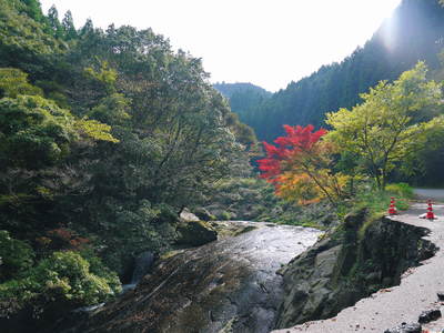紅葉の季節ですが、7.12北部九州大水害の復旧は・・・_a0254656_21363435.jpg