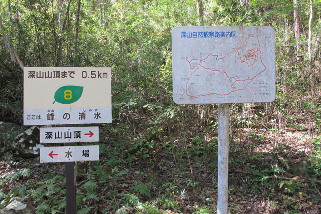 c0116856_22411439.jpg