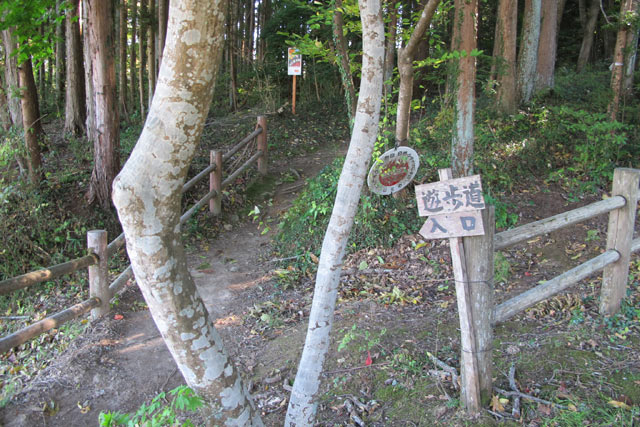 c0116856_22455567.jpg