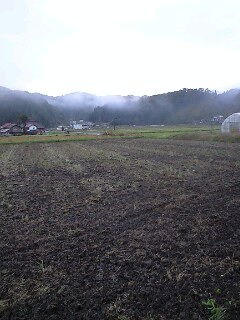 玉ねぎの散髪屋さん_f0071456_23404437.jpg