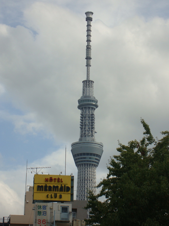 f0198556_13551654.jpg