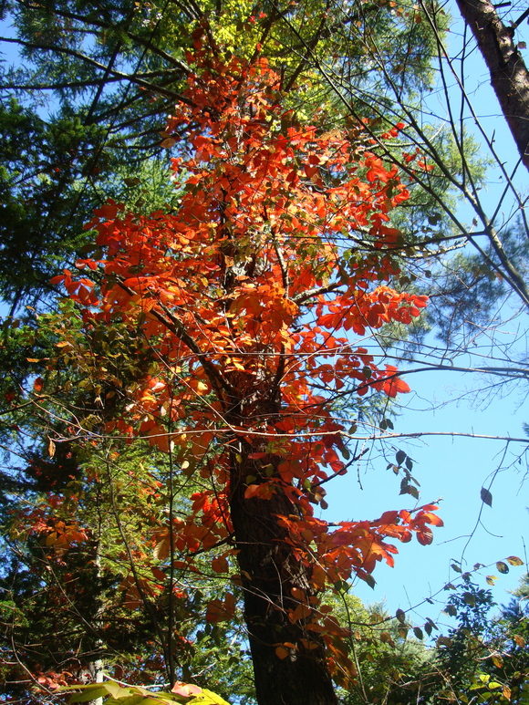 f0198556_18101875.jpg