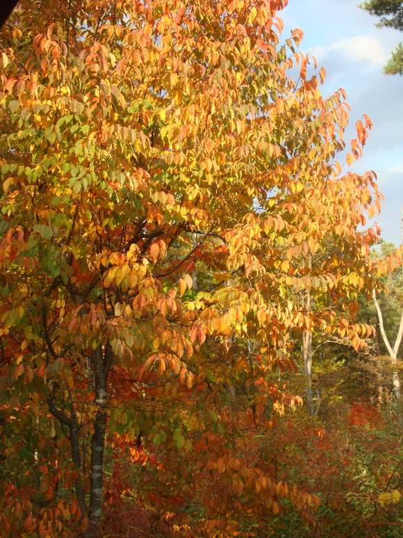 f0198556_1813519.jpg