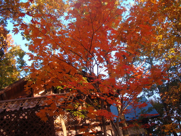 f0198556_1816163.jpg