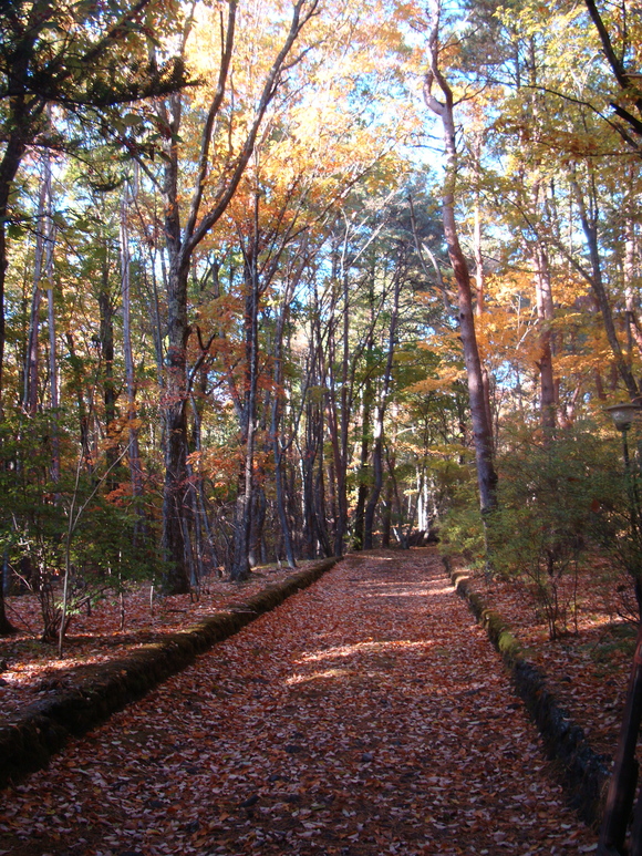 f0198556_18214033.jpg