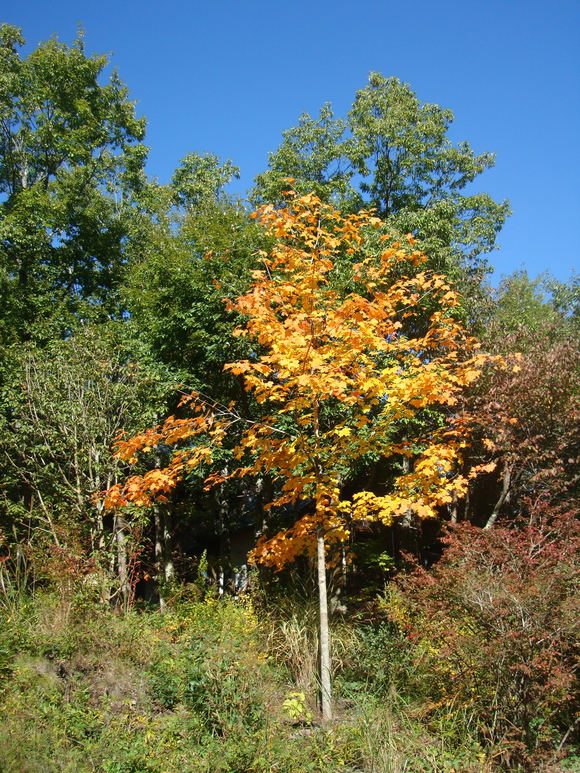 f0198556_1874583.jpg