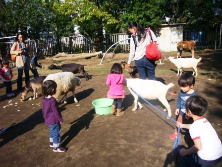 移動動物園＠幼稚園_c0041757_1274561.jpg