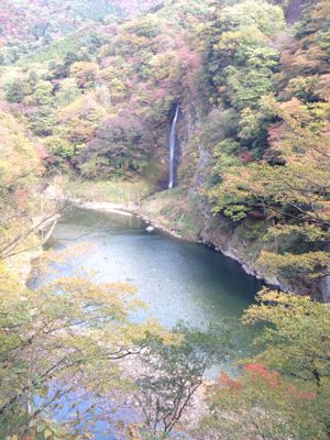 2012/11/02 塩原下見、椿笛_b0063162_2445137.jpg