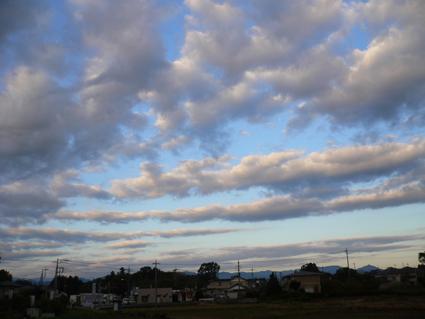e0235963_2035628.jpg