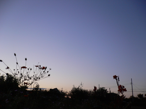 e0235963_2061219.jpg
