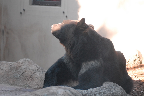 b0286966_20382499.jpg