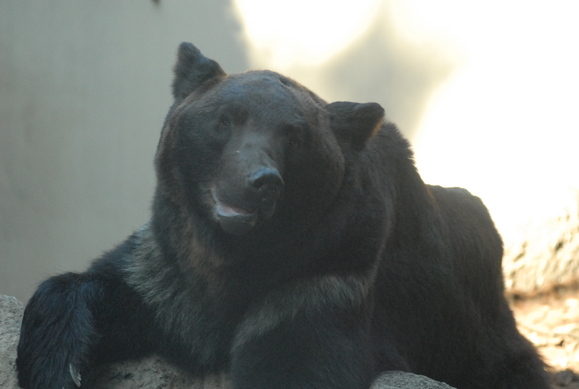 b0286966_20412668.jpg