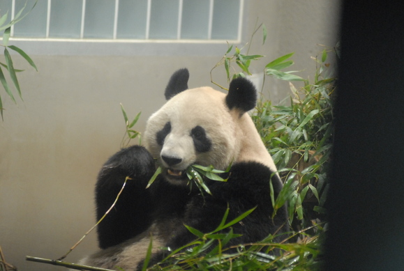 b0286966_21442867.jpg