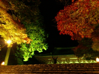 f0142070_19421740.jpg