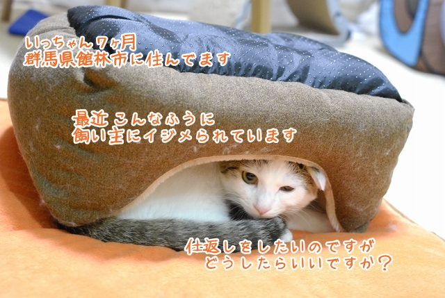 a0266372_0235266.jpg