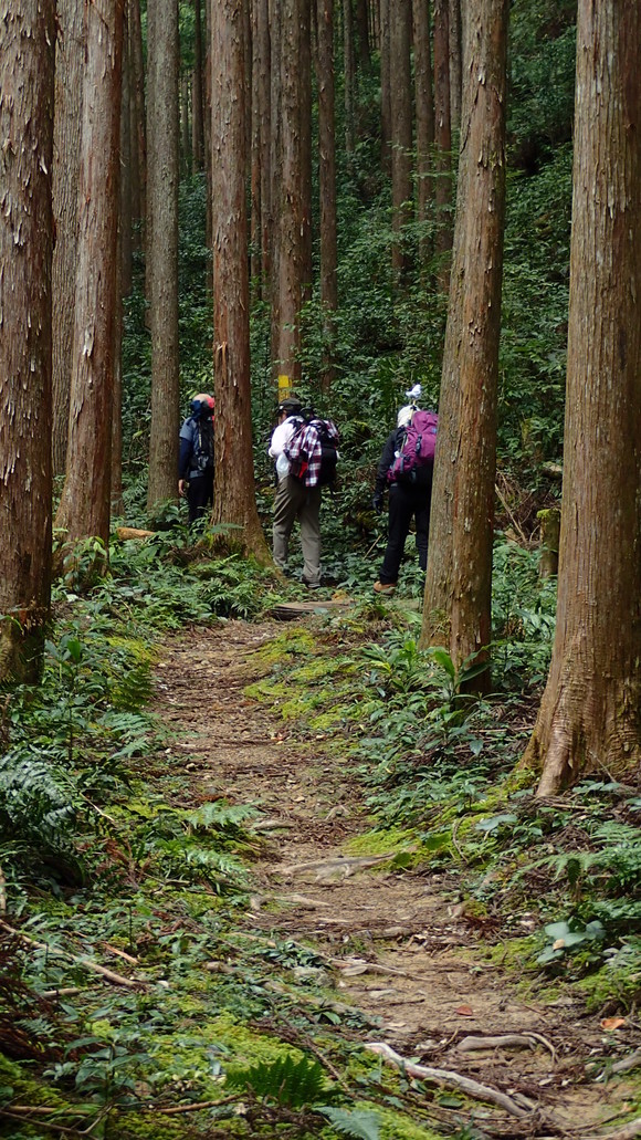 e0024081_1236444.jpg