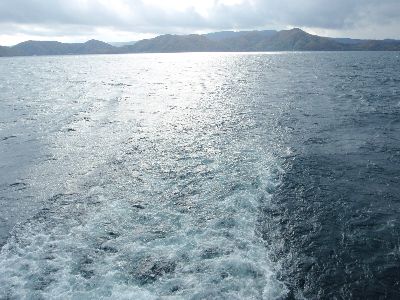 白鳥丸から〇〇を見た_a0096989_20165180.jpg