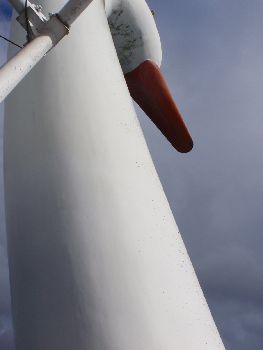 白鳥丸から〇〇を見た_a0096989_2017215.jpg