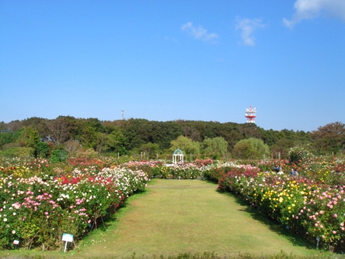 d0125890_13543246.jpg